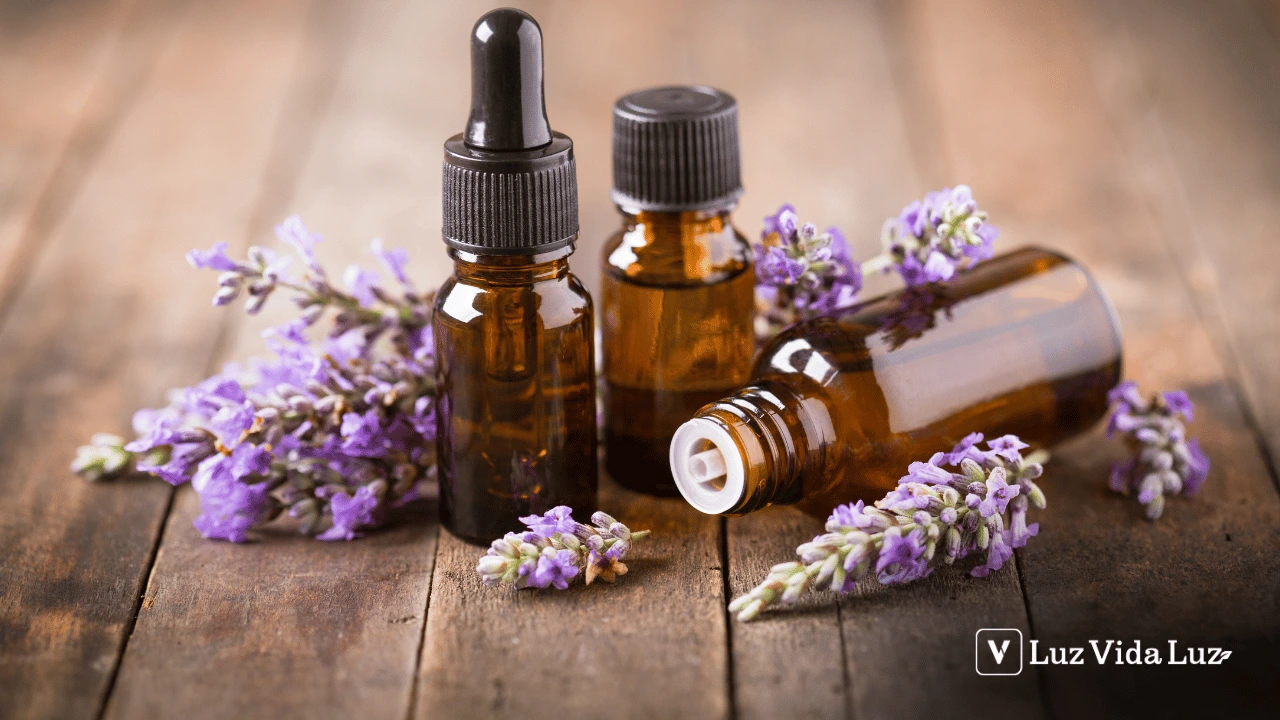 Aromaterapia entenda o assunto de uma vez por todas