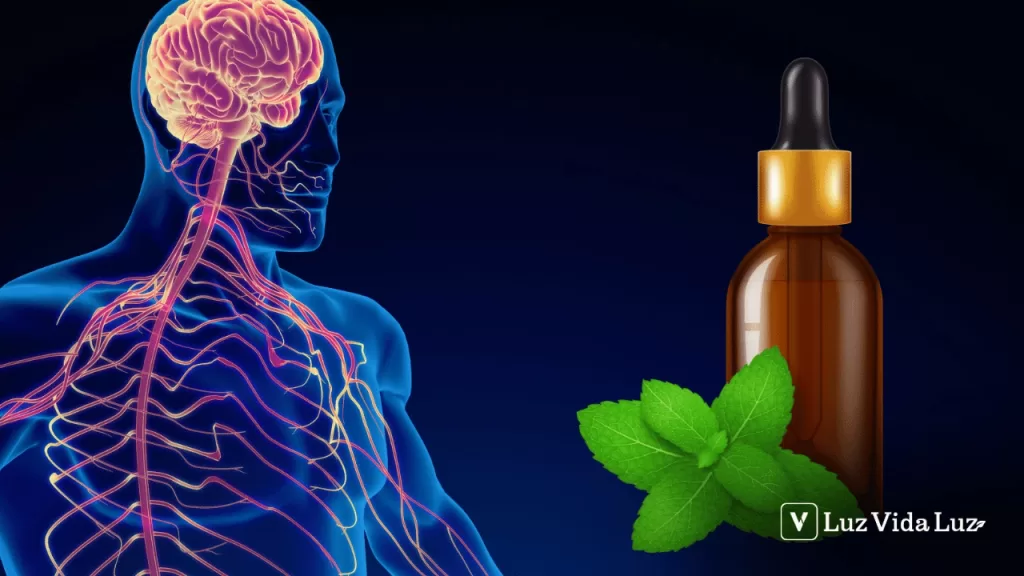 Como a Aromaterapia atua nos sistemas do corpo humano uma visão holística com embasamento científico