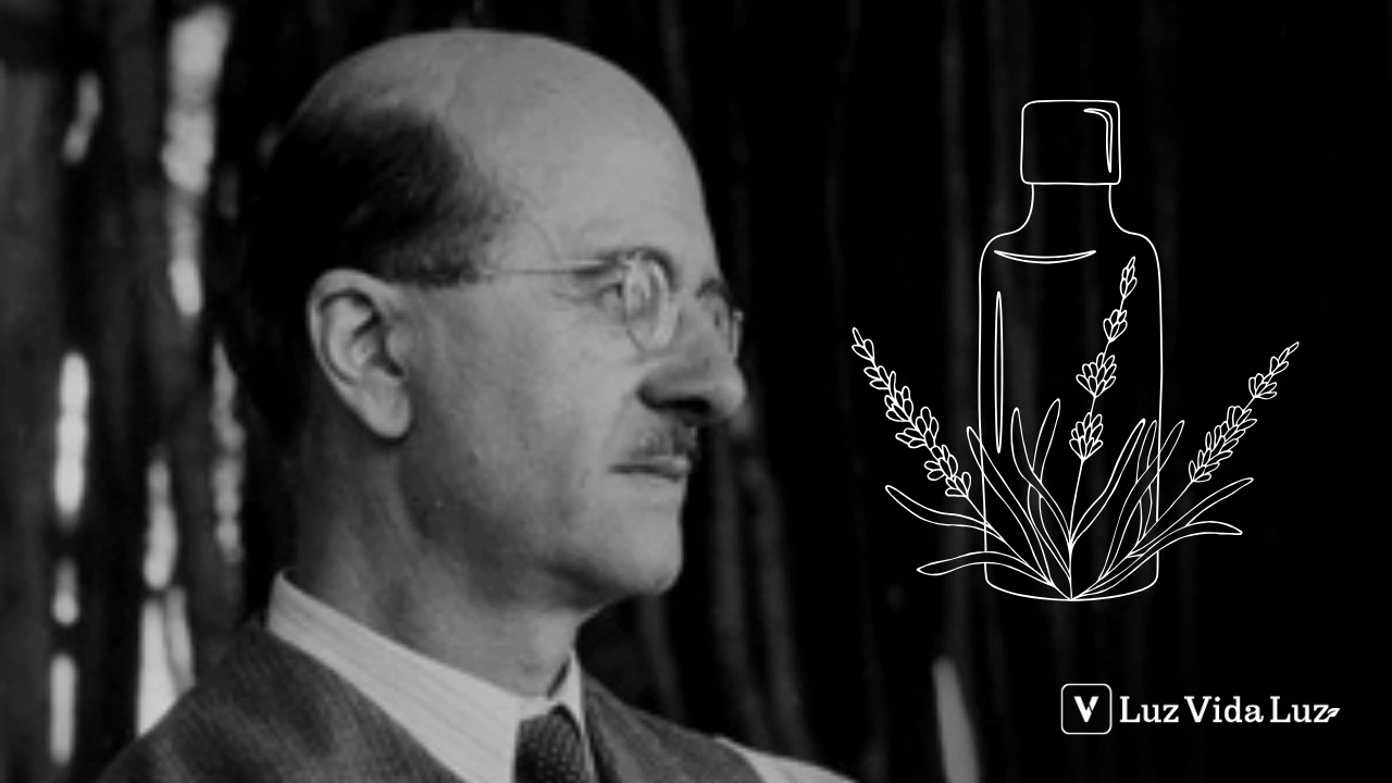 Escola Francesa de Aromaterapia o que é e por que ela é referência mundial