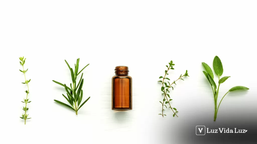 Quimiotipagem o que é e por que ela importa tanto na Aromaterapia